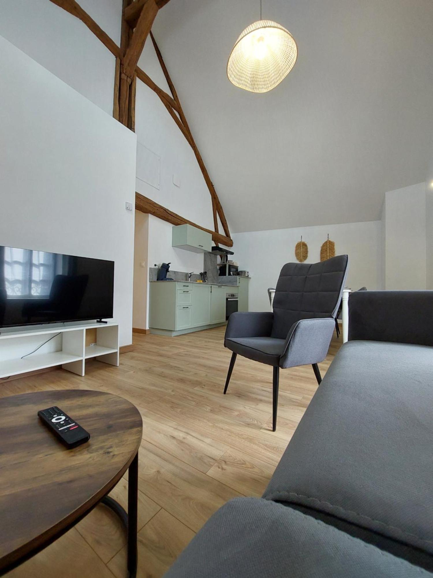 Appartements L'Hirondelle Beaugency Exterior photo