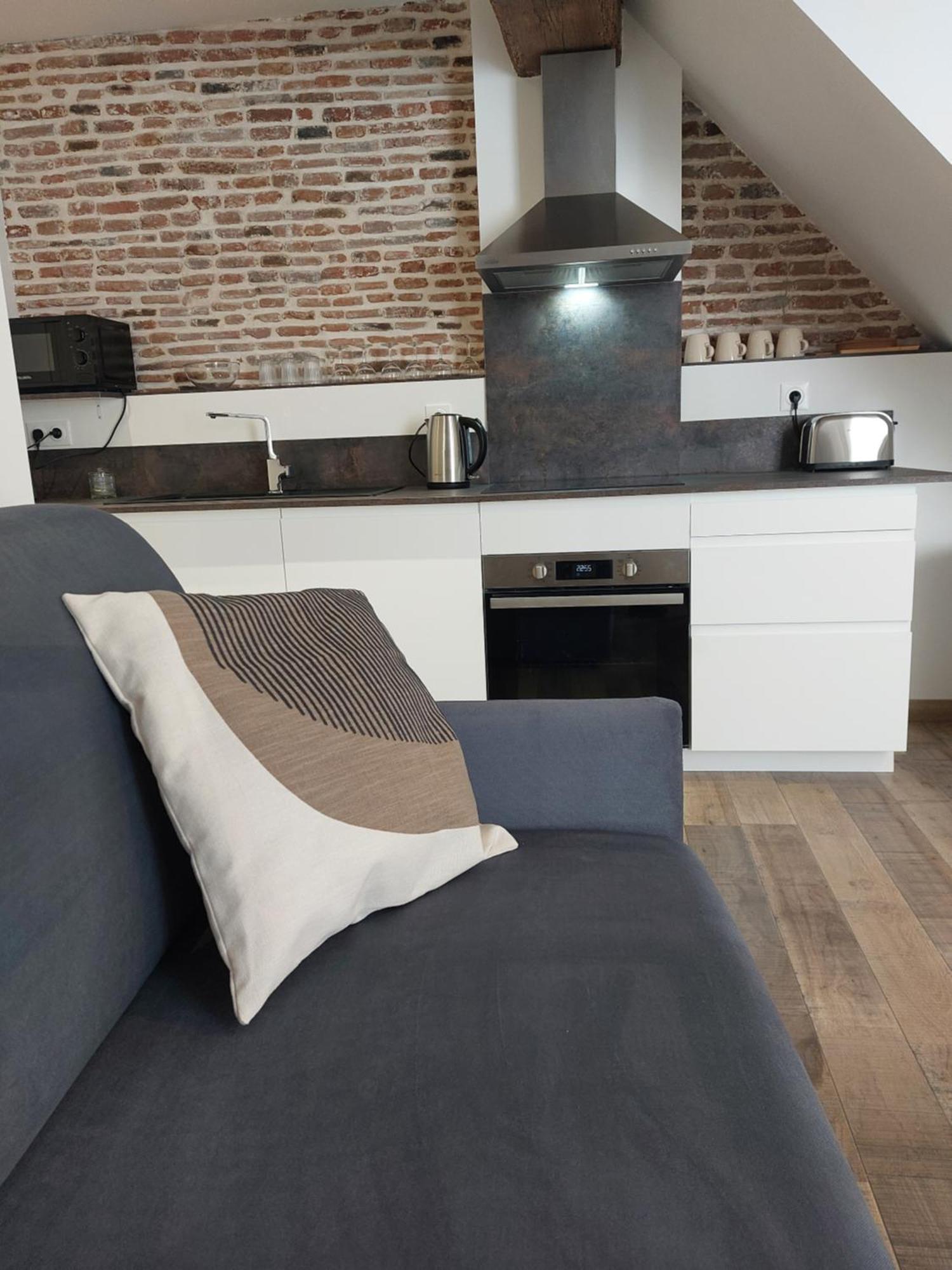 Appartements L'Hirondelle Beaugency Exterior photo